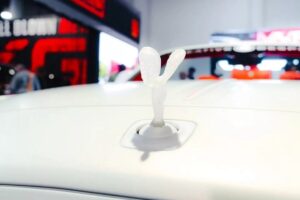 롤스로이스의 금기를 깼다, 두바이가 만든 ‘광기의 Dawn’ 롤스로이스의 금기를 깼다, 두바이가 만든 ‘광기의 Dawn’